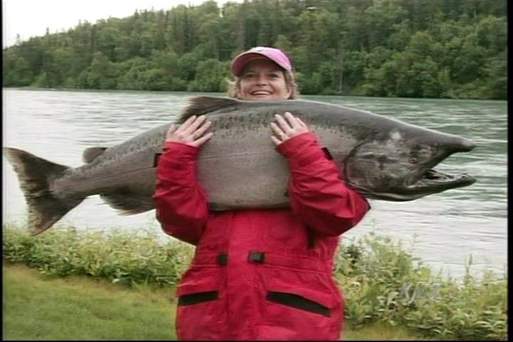 Biggest King Salmon